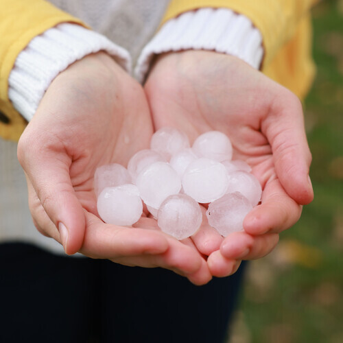 a handful of hailstones