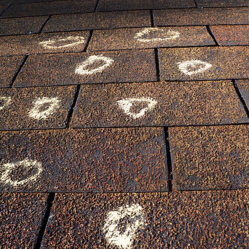 marks for hail damage on a roof